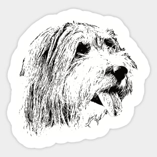 Bearded Collie gift for Collie Owners Sticker